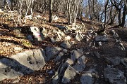 56 Sentiero tracciato su rocce affioranti